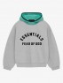 SS24 NF HOODIE LIGHT HEATHER GREY/MINT LEAF