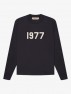 SS22 LS TEE IRON 1977