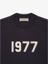 SS22 LS TEE IRON 1977