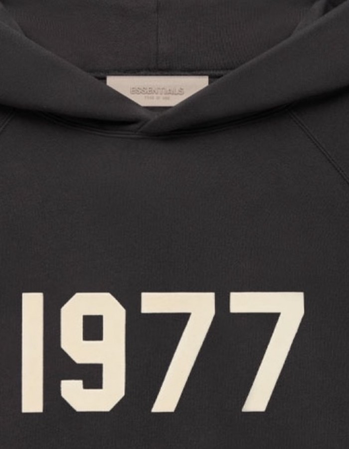 SS22 HOODIE IRON 1977